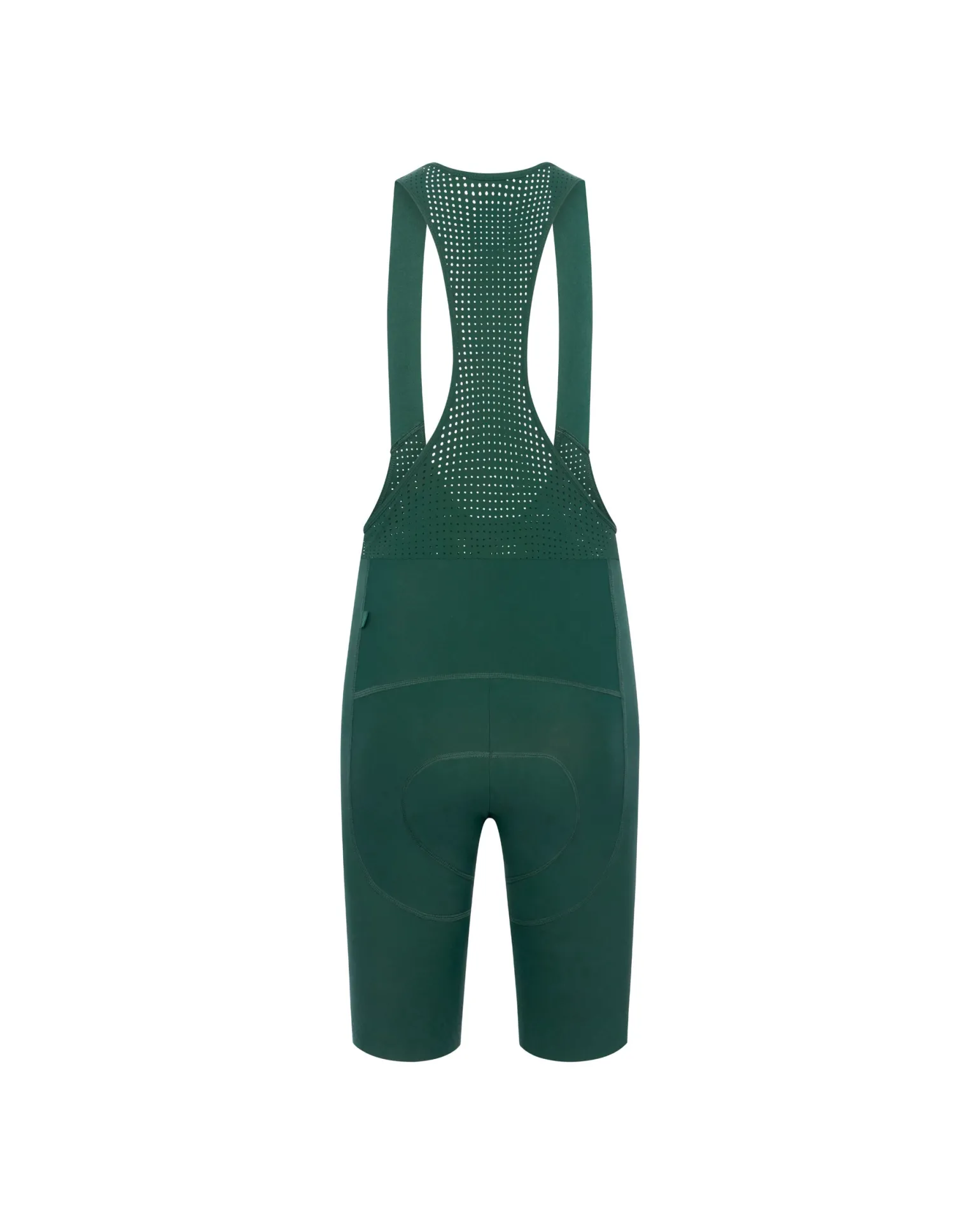 Women's Pro Bib Wiggins Pine